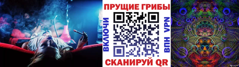 где купить наркоту  blacksprut рабочий сайт  Псилоцибиновые грибы мицелий  Арск 